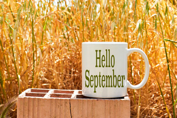 hello September concept on white coffee mockup cup above brick with spike background