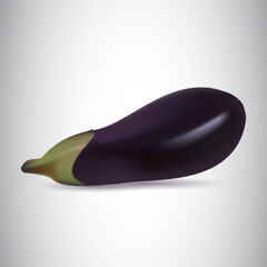Vector eggplant isolated on white background