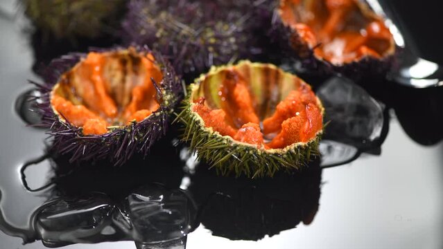 Sea Urchin with caviar close-up, on black background. Fresh open sea urchins with ice, ready to eat. Border design, delicatessen food. Traditional Mediterranean food. Roe. Sea food closeup
