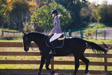 equestrian sport