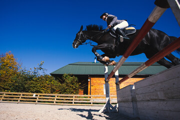 equestrian sport