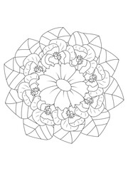 Vector simple mandala with abstract elements, isolated on white background. Oriental ethnic ornament. Design element.