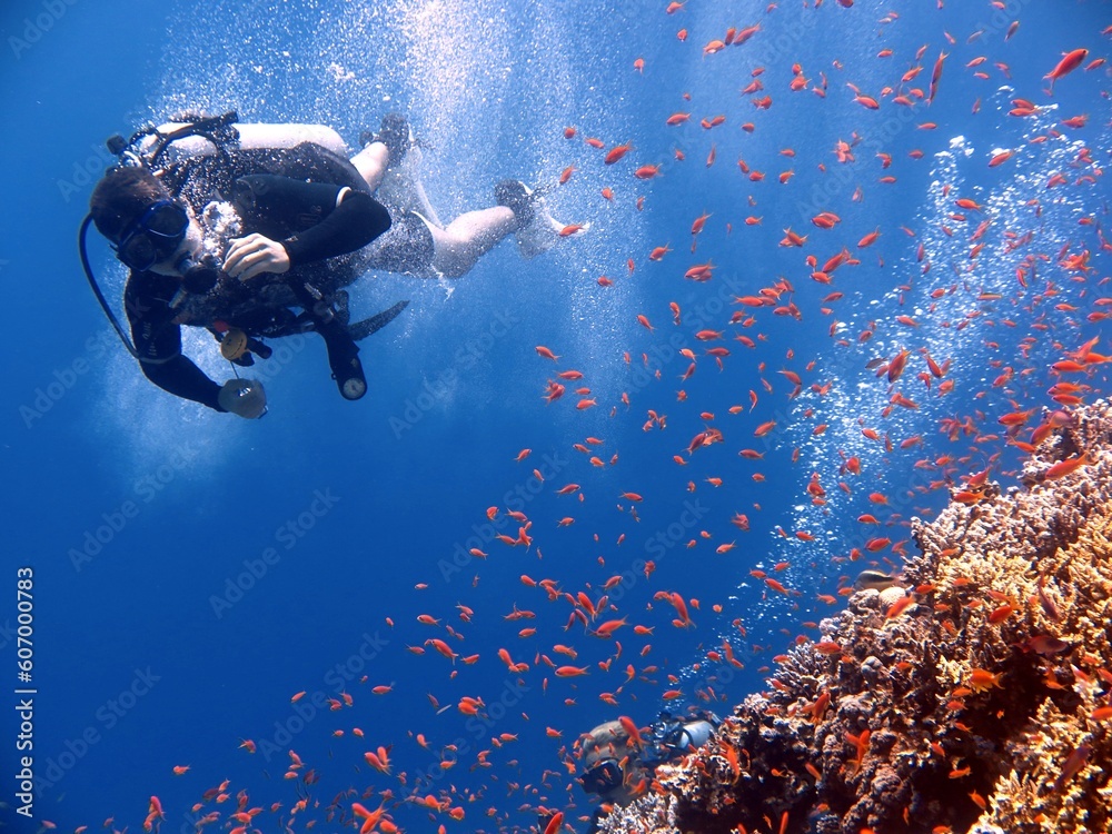 Poster a scuba diver having fun in a dive to red sea