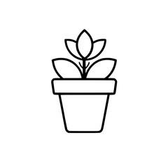 House plant vector illustration isolated on transparent background