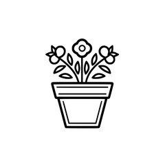 House plant vector illustration isolated on transparent background