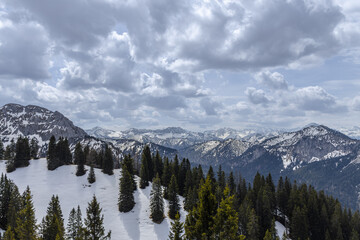 Majestic Snow-Capped Pine Wilderness in Bavarian Alps