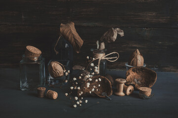 still life with nuts