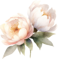 Watercolour peony flower illustration created with Generative AI technology