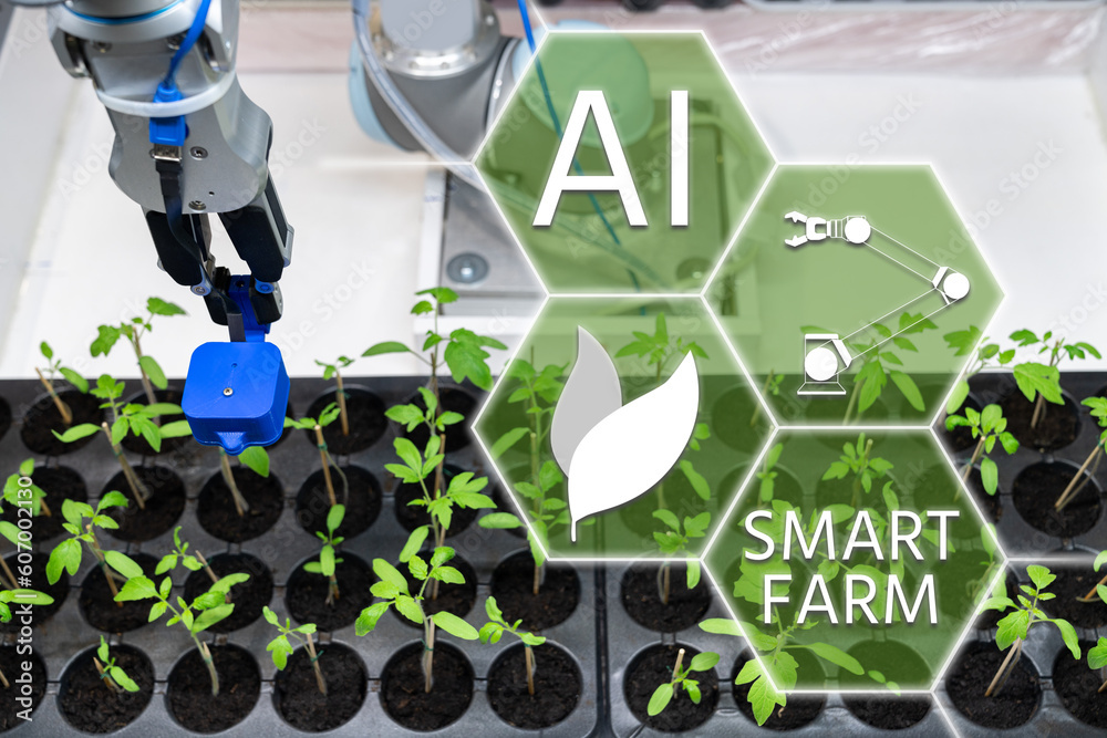 Fototapete A robot in a greenhouse evaluates the quality of tomato seedlings using a sensor. Smart farming concept