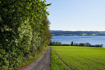 Fototapeta na wymiar Cultural landscapes of the Lake Mjøsa area in May.