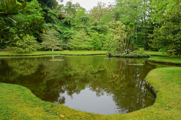 Pond in the park