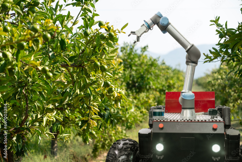 Poster autonomous robot harvester with robotic arm harvesting fruits on a smart farm. concept