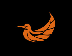 Bird logo design with feather shape, elegant bird icon