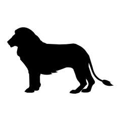 black silhouette of lion isolated on transparent background. PNG