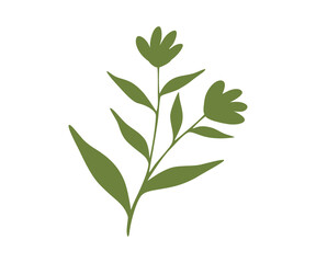 leaves and flowers isolated on transparent background. PNG