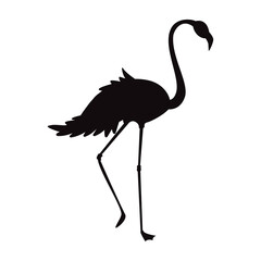 silhouette flamingo of isolated on transparent background. PNG