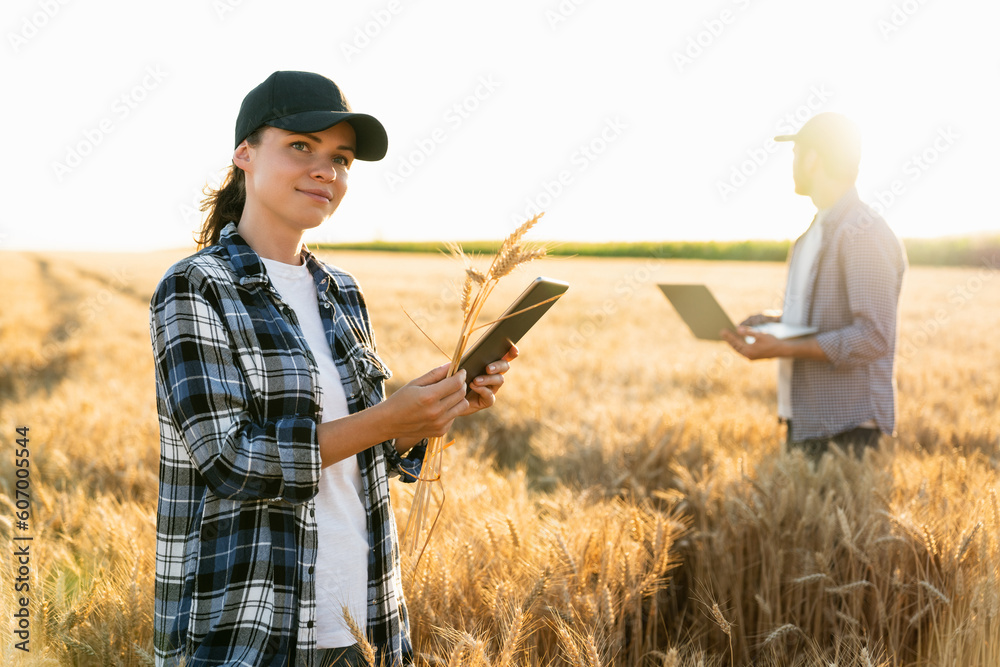 Poster couple of farmers examines the field of cereals and sends data to the cloud from the digital tablet 