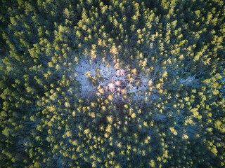 Paisaje de pinos en invierno visto desde las alturas. Pinos, nieve, naturaleza, vista desde las alturas a vista de pájaro.