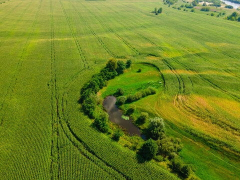 Green farming field with different natural geometrical patterns.