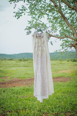 Wedding Dress hanging on the tree