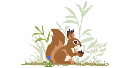 banner in flat cartoon design. Landscape with squirrels in tropical forest, plants and bushes, Wildlife panorama with scenery. Vector illustration of web background © Steven Mink