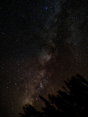 沖縄県小浜島の天の川