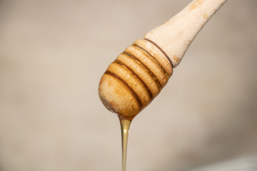 Closeup of a honey dipper dripping with honey