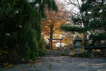 View of a beautiful Chinese park in autumn