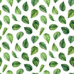 green leaves seamless pattern, exotic tropical plants, jungle wallpaper. Watercolor botanical pattern,  hibiscus leaf