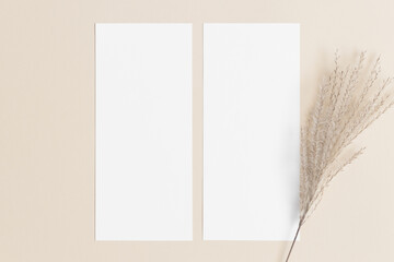 Two menu cards mockup with a reed pampas deocoration, 4x9 ratio.