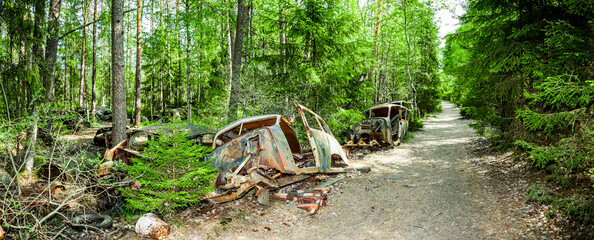 Vintage Autos in einem Autofriedhof in einem Wald