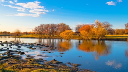 Beautiful landscape of a lake and trees in the background in autumn.