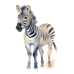 Watercolor little zebra isolated on transparent background. Generative AI