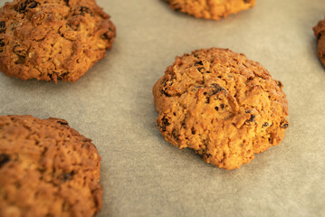 Freshly baked chewy oatmeal raisin cookies on a baking sheet.