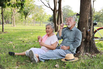 Portrait of happy asian senior man and woman blowing bubbles together in a park with joy in summer garden outdoor. Lover couple going to picnic at the park. Happiness marriage lifestyle concept.