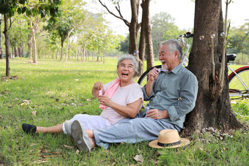 Fototapeta premium Portrait of happy asian senior man and woman blowing bubbles together in a park with joy in summer garden outdoor. Lover couple going to picnic at the park. Happiness marriage lifestyle concept.
