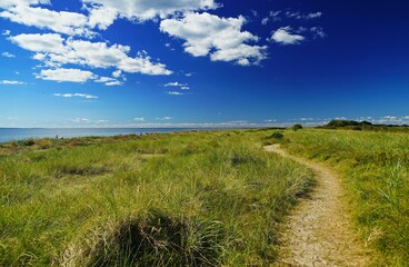 Image of a road surrounded with grass in both sides and a beautiful sky above