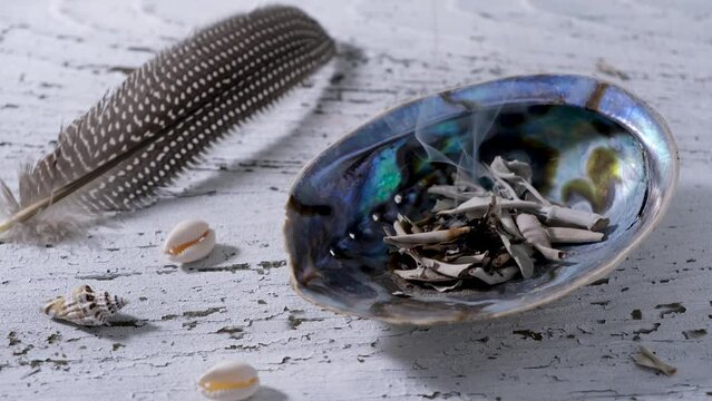 Smudging white sage leaves (Salvia apiana) in an abalone shell with incense feather on old white wood
