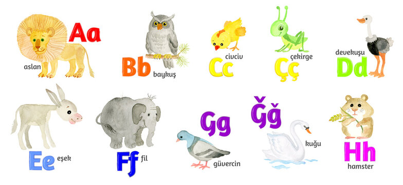 Turkish letters, the alphabet, illustrated with funny pictures of animals from A to H on a white background.