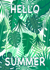 Hello Summer botanical poster. Tropical leaves background.