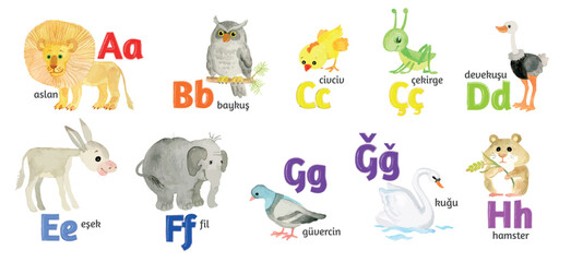Obraz na płótnie Canvas Turkish letters, the alphabet, illustrated with funny pictures of animals from A to H on a white background.