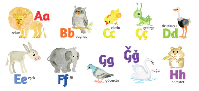 Turkish letters, the alphabet, illustrated with funny pictures of animals from A to H on a white background.