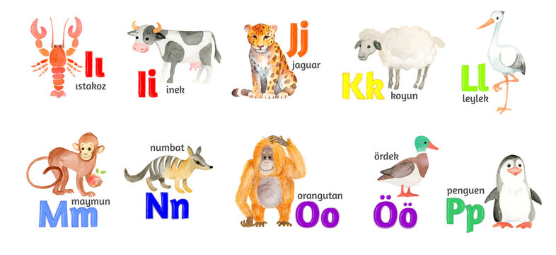Turkish letters, the alphabet, illustrated with funny pictures of animals from I to P on a white background.