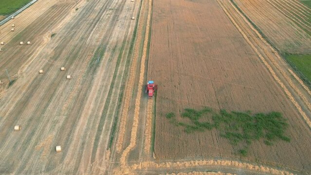 Bizon combine harvester reaping wheat for animal feed on Polish countryside.