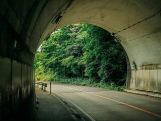 Tunnel with a highway road leading to a green forest