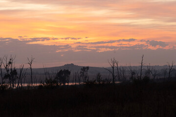African sunrise in Rietvlei Nature Reserve
