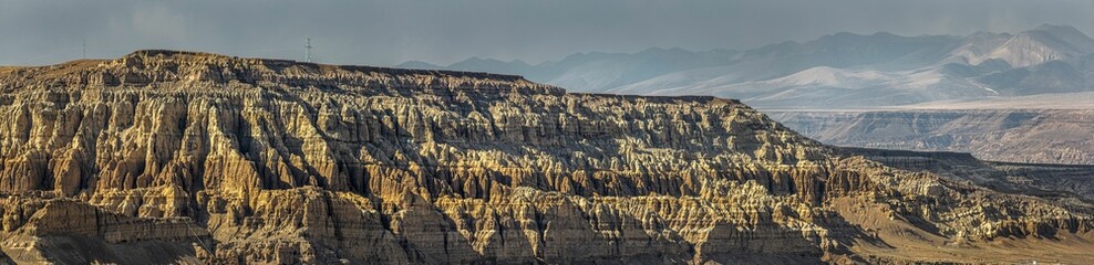 Panoramic view of forest landforms and stone formations in Zada County, Ali Prefecture, Tibet, China