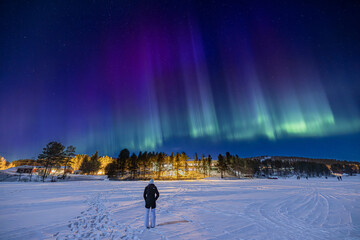Young girl watching purple, blue and green Northern lights (aurora borealis) 
above Ounasjärvi...