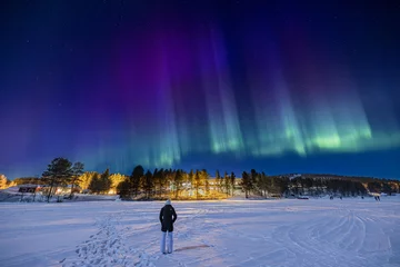 Foto op Plexiglas Young girl watching purple, blue and green Northern lights (aurora borealis)  above Ounasjärvi lake in Hetta, Lapland, Finland © Simon van Hemert