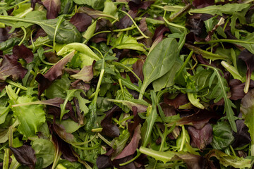 Fresh mix of salads with edible flowers. Top view.